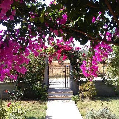 In The Garden Сasa de vacaciones