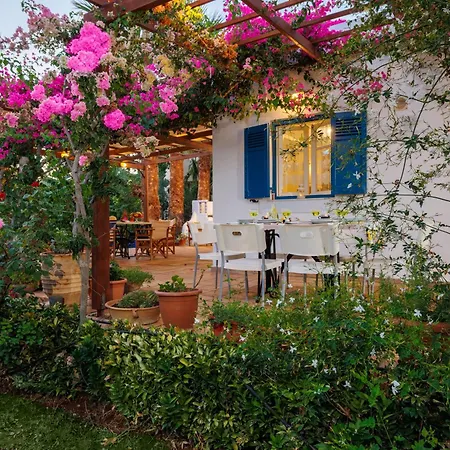 In The Garden
