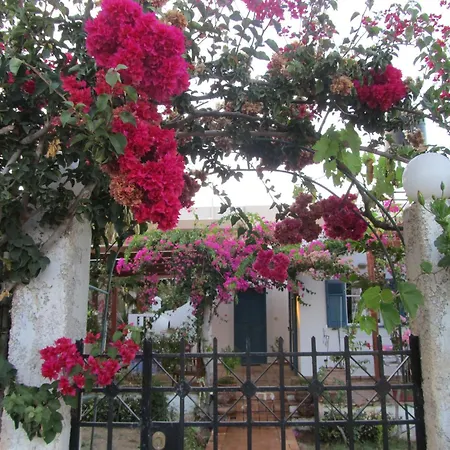 In The Garden